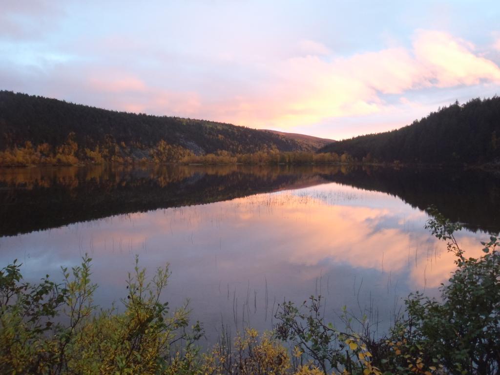 Lemmenjoen Lumo - Nature Experience & Accommodation Lemmenjoki Exteriör bild